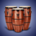 Real Percussion Instruments.png
